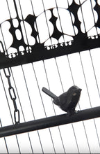 Charger l'image dans la galerie, Volière sur Pied en métal noir