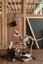 Charger l&#39;image dans la galerie, Dinosaure T-Rex Sur Pied en résine marron clair (2 Formats)
