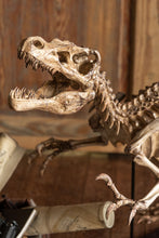 Charger l&#39;image dans la galerie, Dinosaure T-Rex Sur Pied en résine marron clair (2 Formats)
